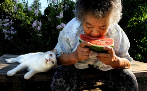 thecatdogblog:Nine years ago, Japanese photographer Miyoko Ihara began snapping pictures of the rela