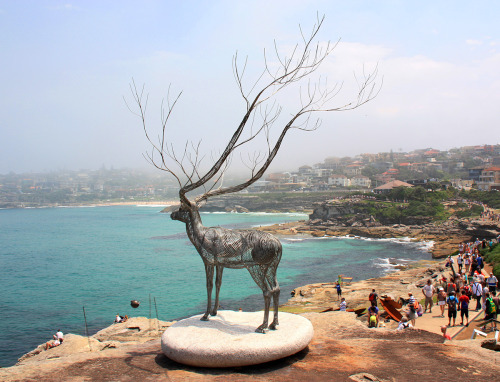 itscolossal:  Steel Animal Sculptures by Byeong Doo Moon at ‘Sculpture by the Sea’ 