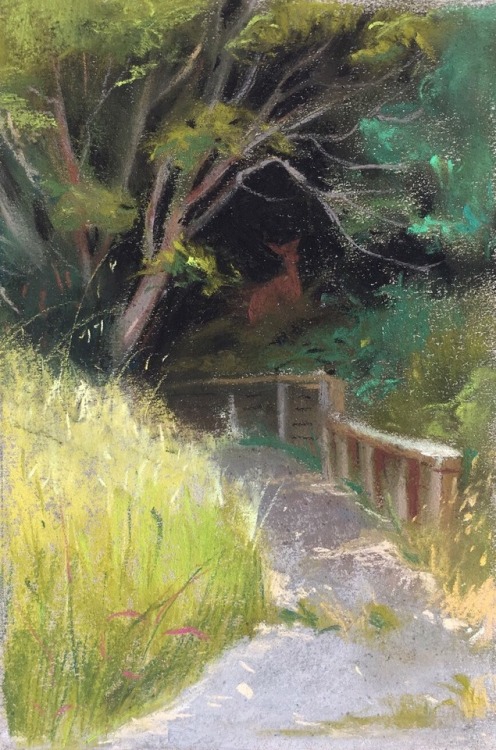 Paintings I did at Bill Cone’s plein air workshop at Point Reyes