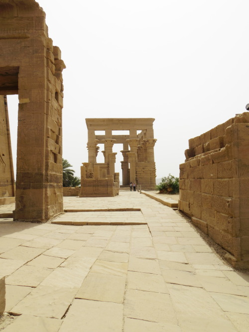 My trip in Egypt -Philae temple, Abu simbil two temples- Aswanスケールがデカすぎる。アブシンベル神殿は内部撮影禁止です。ラムセス２世が建て