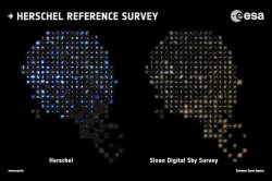 kenobi-wan-obi:  Herschel Completes Largest Survey of Cosmic Dust in Local Universe     The largest census of dust in local galaxies has been completed using data from ESA’s Herschel space observatory, providing a huge legacy to the scientific community.