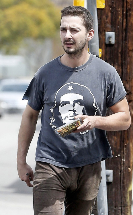 Porn Shia Labeouf’s bulge. photos