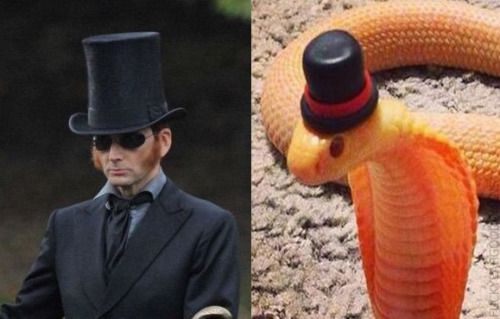 fuckyeahgoodomens:The snek twins compilation adult photos