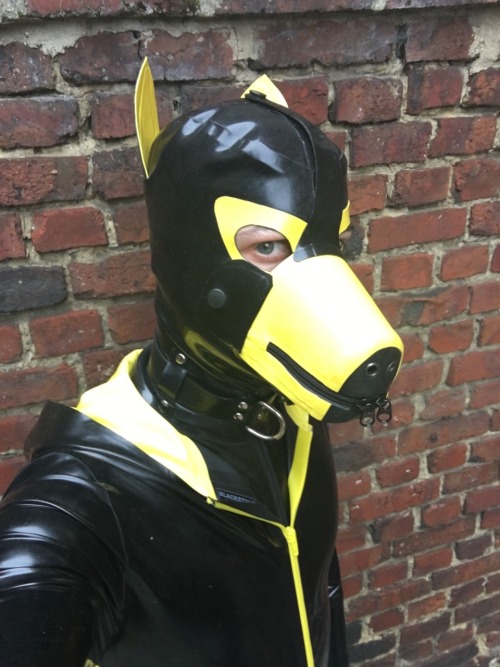 sonypup:  Cage afternoon for Sonypup !!! 