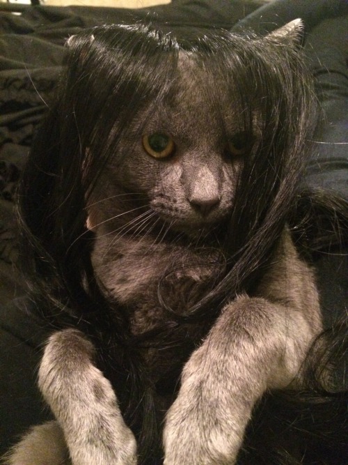 inhaleaggression:  Who is she