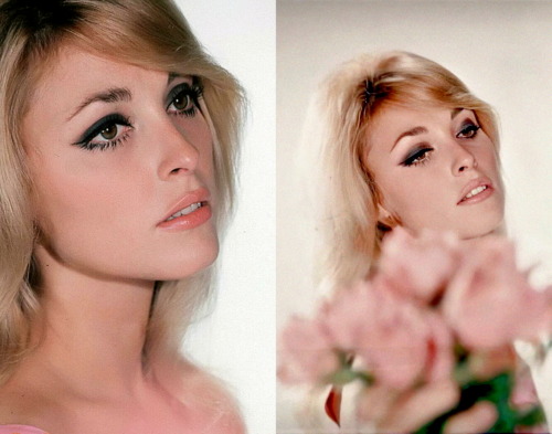 65eatonplace:Sharon Tate photographed by Pierluigi Praturlon for MGM Studios & Filmways 1965