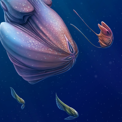exobiotica: Back to the Depths An entourage of opportunistic creatures accompanies the deep-sea behe