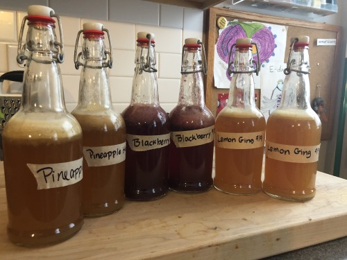 7/9/20Pictured: kombucha bottled for a second ferment. this batch’s flavors are a pineapple &amp; a 