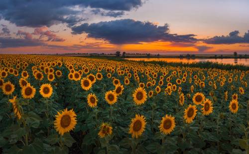 Porn Pics expressions-of-nature:by Fedor Lashkov