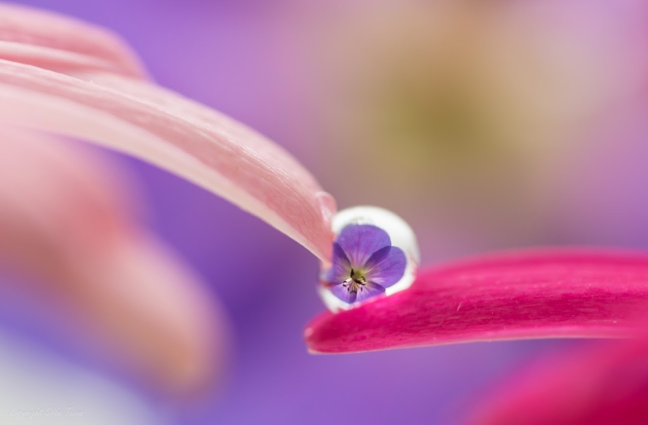 hardsadness:  by by Silke Tüxen
