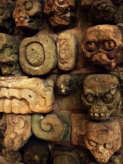 themagicfarawayttree:  Ancient Mayan skull carvings from Copan 