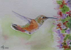 canvaspaintings:  Hummingbird, original watercolor painting Handmade 5 “x 8” bird, colibri, decorative bird, painting, mini pictures by BeautifulpictureART (20.00 USD) http://ift.tt/1Ukunha