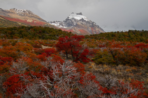 expressions-of-nature: El Chaltén, Argentina by Rodislav Driben