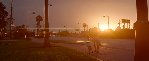 akajustmerry: “You know why this is my favorite tree?…‘Cause it’s tipped over, and it’s still growing.”    The Florida Project (2017). Dir. Sean Baker. DP. Alexis Zabe    