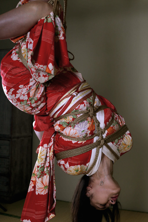 justscreenshots:    Shibari & Photo Sin