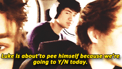 cuddlyhemming:  fvcklashton:  AU: You and Luke are best friends but secretly like each other.  THIS MAKES MY HEART HURT AND I JUST MADE A VERY INHUMANE NOISE OMG 