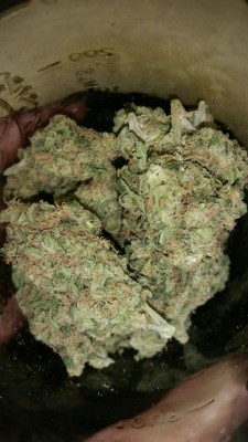 kick-push-twist-kush:  So Frosty ❄❄