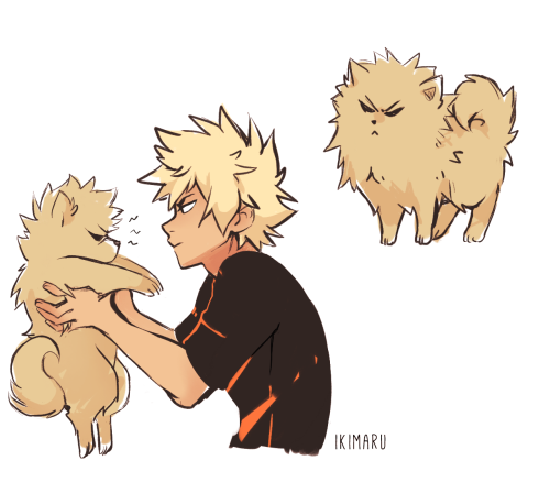 someone suggested Bakugou with the dog that