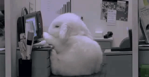 Flopping Buns