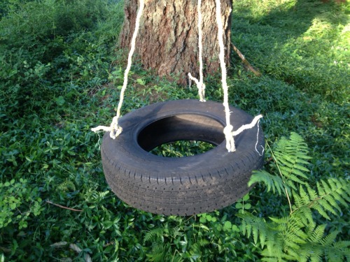 Anxiety about heights? Check. Anxiety about knots? Double check. Hung tire swing today for the kids 