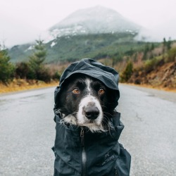 findmomo:  Throwback to keeping dry in wet