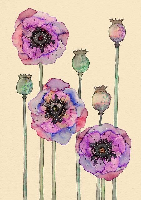 whatjanesaw:  Colleen Parker