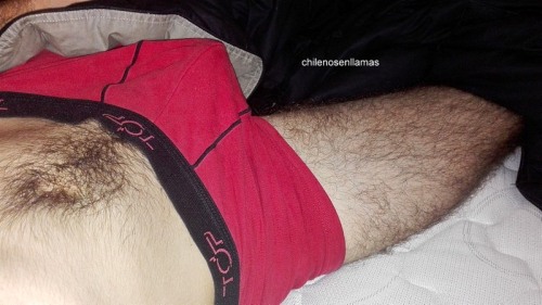 chilenosenllamas:  Esteban, 25 años de Pudahuel. porn pictures