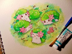 kidura:  good morning shaymin!