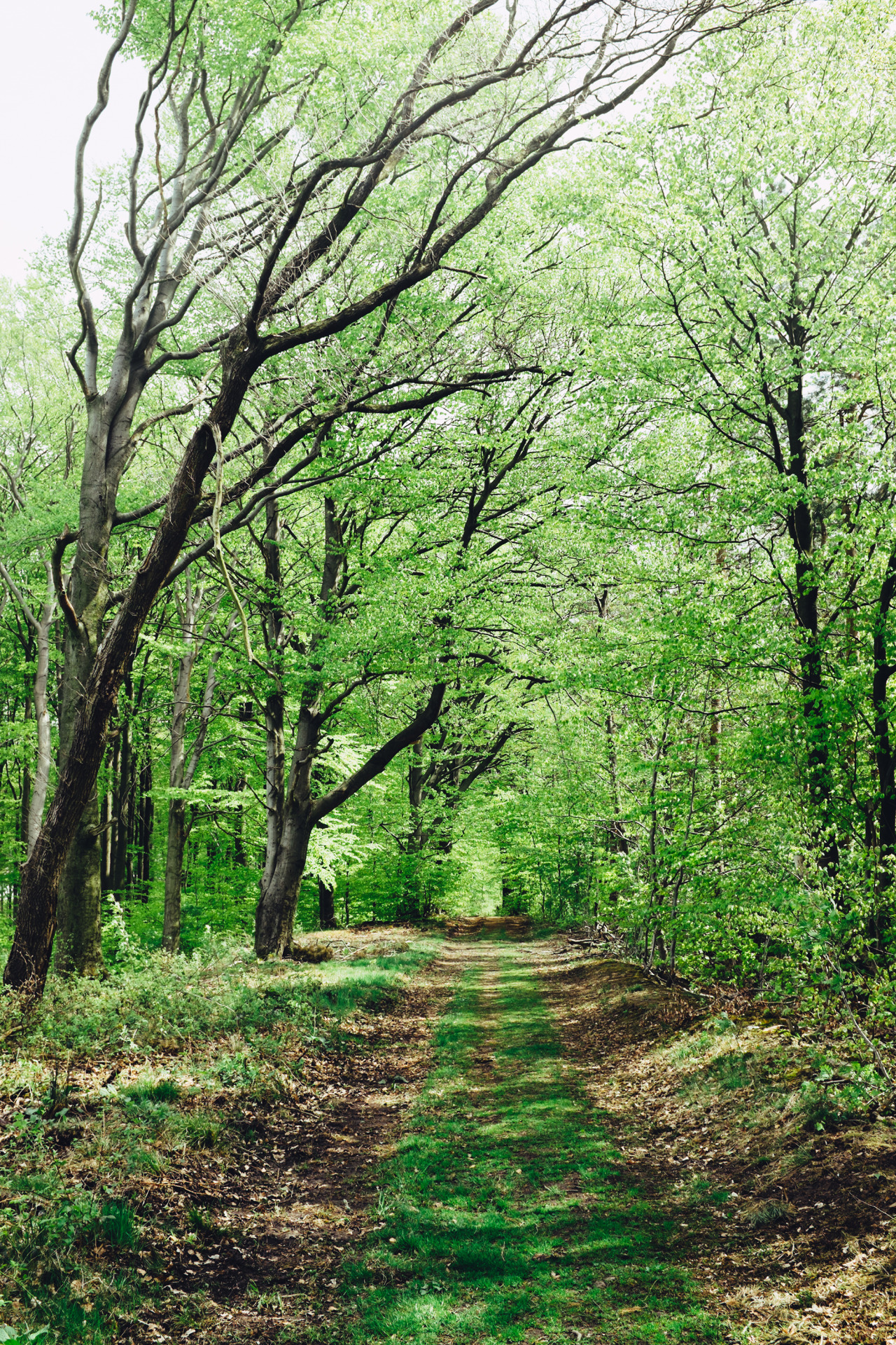 olli-dressler:  Photographer