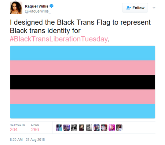 TDOV - History of the Trans Pride Flag