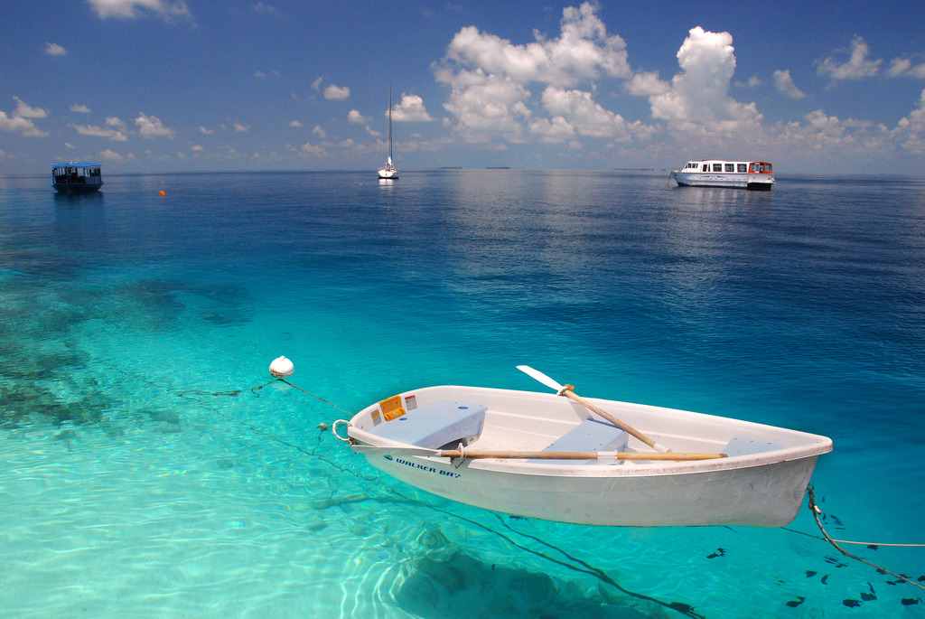 Traveling Waters