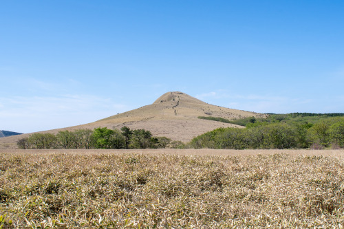 大分県九重への旅　その７涌蓋山へ。。。朝は牛タンの残りから始めることに。しかし、久しぶりのロングハイク（約6時間）は足腰に堪えますね。。。