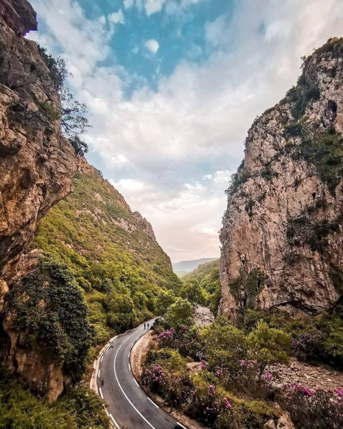 Taza, Jijel