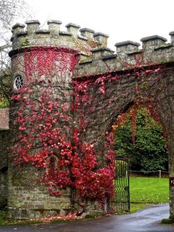 my-nata-li:  Stourhead Gardens, England photo via carolina    