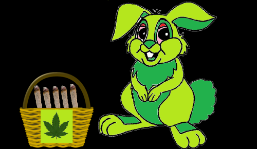 thetoasteratethemushroompalace:  The weed bunny is coming to give you some joints. 
