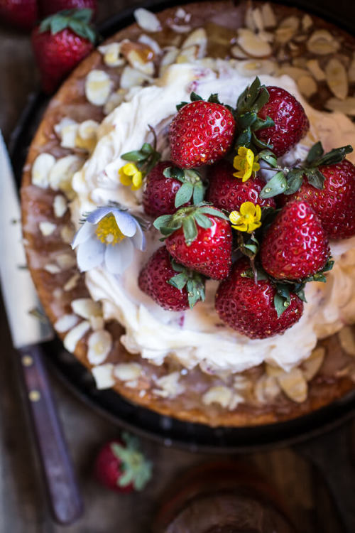 XXX foodffs:  Almond Honey Cake with Strawberry photo