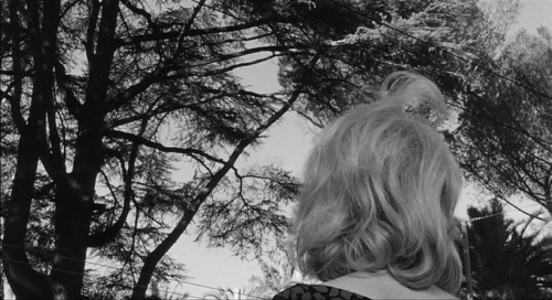 365filmsbyauroranocte:L'Eclisse (Michelangelo Antonioni, 1962) 