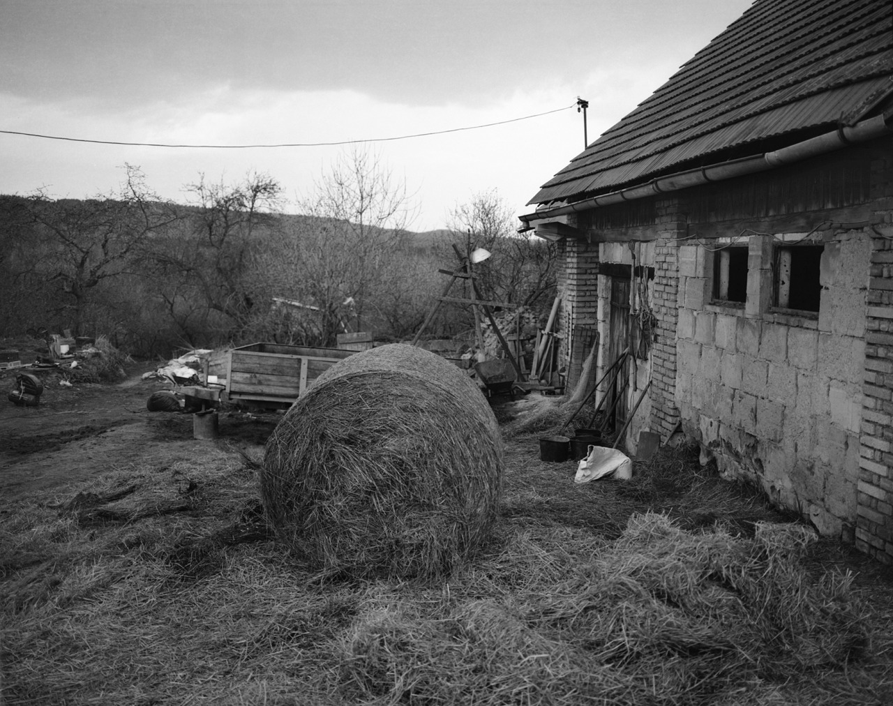 Bohemian Spring, Svata, Czech Republic, March 2014