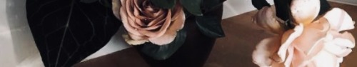 blossomsinfully: D E L I C A T E  M A T E R I A L