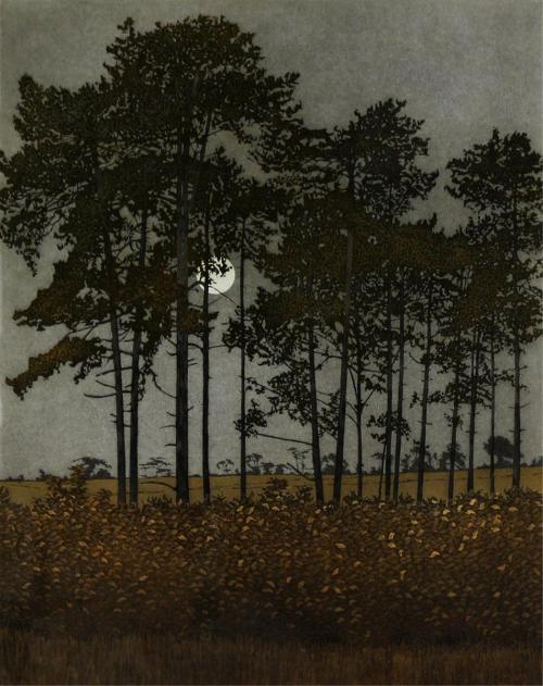 lilacsinthedooryard: Phil Greenwood (UK b 1943) Moonlight  1976 colour etching