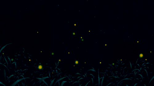 krobelus:Grave of the Fireflies, 1988