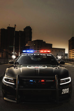 fullthrottleauto:    2015 Dodge Charger Pursuit