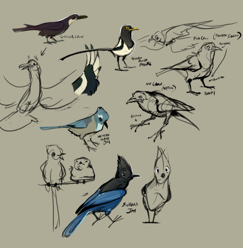 fablepaint:  Been a bit busy today. Have some of today’s warmup / character concepts. Noodling out a lot of different kinds of corvids so I get used to distinguishing between species and personalities. (the owl thing and eagle are obviously not corvids,