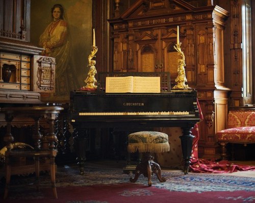 ghostlywatcher:  The music room in Peles Castle. Romania 