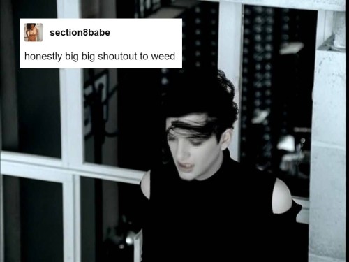 Placebo + Text Post Memes (3/?)