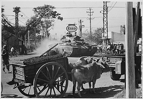 historicaltimes:A Vietnamese cow looks on as a Tank from 1st Battalion, 69th Armor, 25th Infantry Di