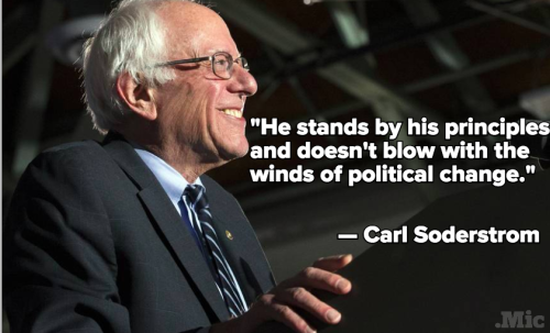 micdotcom:What Bernie Sanders’ New Hampshire win means to his supporters