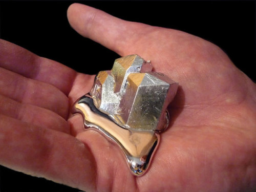 miss-bexy: fearbeforetheflames: limmynem: Gallium Gallium is a silvery metal with atomic number 31. 