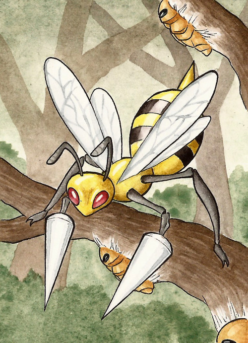 Ahh, The Other Bugs. I Always Liked The Idea Of Beedrill As A Child, Because Who Wouldnt Want To Send