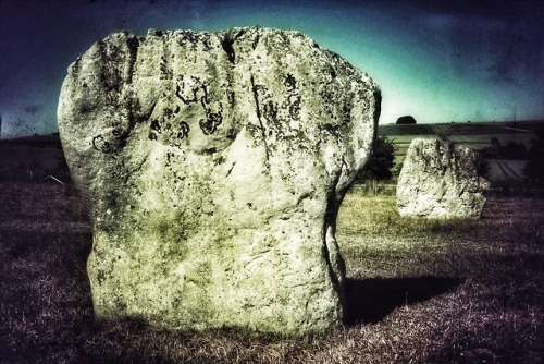 West Kennet Stone Avenue, nr Avebury, Wiltshire, 27.6.18.